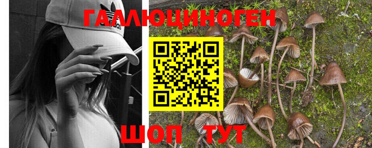 Псилоцибиновые грибы мухоморы  Галлюциногенные грибы прущие грибы  Малоярославец  Вход с VPN 
